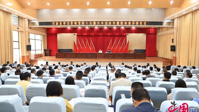 网络课程反馈收集流程：如何构建高效的教学闭环